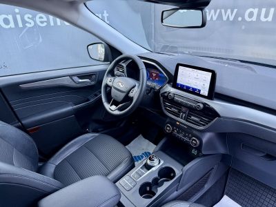 Ford Kuga Gebrauchtwagen Ford Kuga Gebrauchtwagen