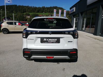 Suzuki S-Cross Vorführwagen