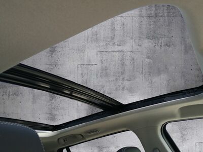 Suzuki S-Cross Vorführwagen