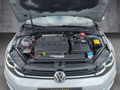 VW Golf Gebrauchtwagen VW Golf Gebrauchtwagen