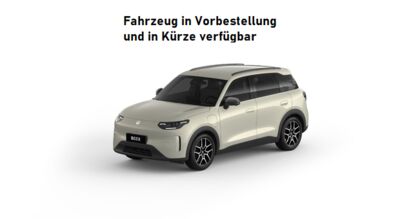 Leapmotor B03X Neuwagen Leapmotor B03X Neuwagen