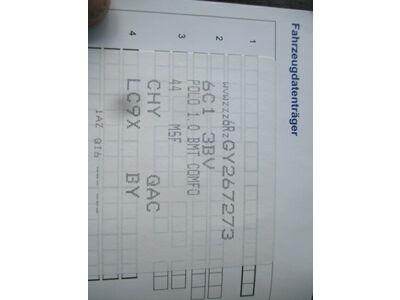 VW Polo Gebrauchtwagen