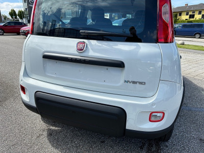 Fiat Panda Gebrauchtwagen