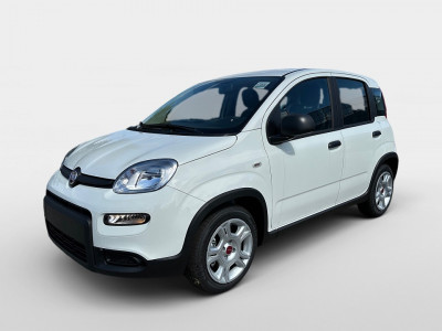 Fiat Panda Gebrauchtwagen