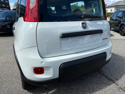 Fiat Panda Gebrauchtwagen