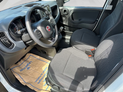 Fiat Panda Gebrauchtwagen