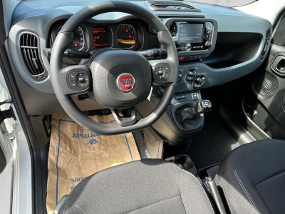 Fiat Panda Gebrauchtwagen