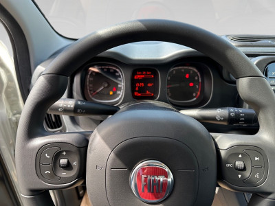 Fiat Panda Gebrauchtwagen