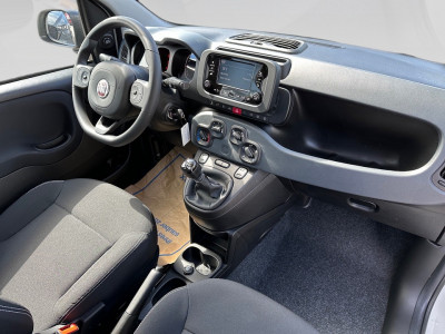 Fiat Panda Gebrauchtwagen