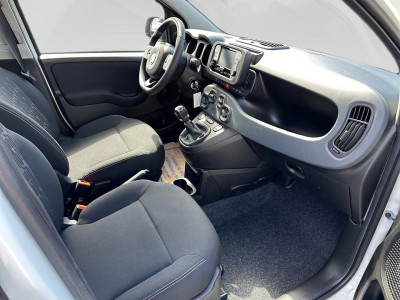 Fiat Panda Gebrauchtwagen