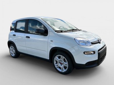 Fiat Panda Gebrauchtwagen