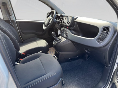 Fiat Panda Gebrauchtwagen