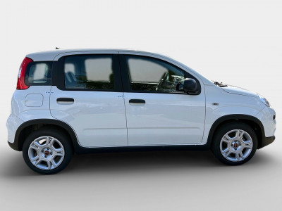 Fiat Panda Gebrauchtwagen