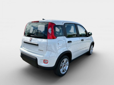 Fiat Panda Gebrauchtwagen