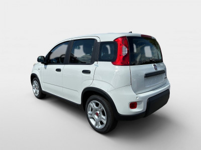 Fiat Panda Gebrauchtwagen