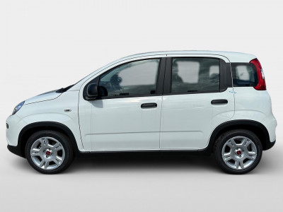 Fiat Panda Gebrauchtwagen