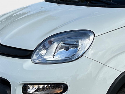 Fiat Panda Gebrauchtwagen