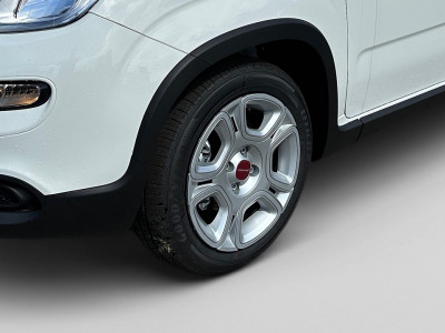 Fiat Panda Gebrauchtwagen