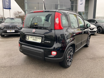 Fiat Panda Gebrauchtwagen Fiat Panda Gebrauchtwagen