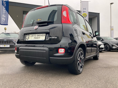 Fiat Panda Gebrauchtwagen Fiat Panda Gebrauchtwagen