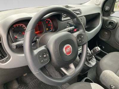 Fiat Panda Gebrauchtwagen Fiat Panda Gebrauchtwagen