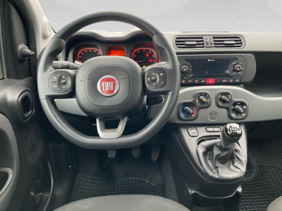 Fiat Panda Gebrauchtwagen Fiat Panda Gebrauchtwagen
