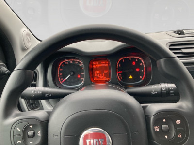 Fiat Panda Gebrauchtwagen Fiat Panda Gebrauchtwagen