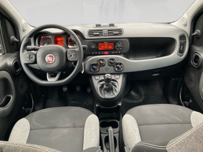 Fiat Panda Gebrauchtwagen Fiat Panda Gebrauchtwagen