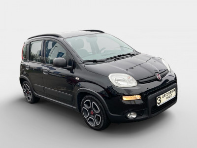 Fiat Panda Gebrauchtwagen Fiat Panda Gebrauchtwagen