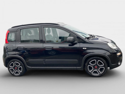 Fiat Panda Gebrauchtwagen Fiat Panda Gebrauchtwagen