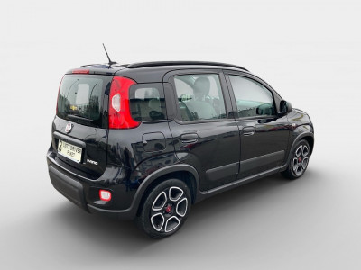 Fiat Panda Gebrauchtwagen Fiat Panda Gebrauchtwagen
