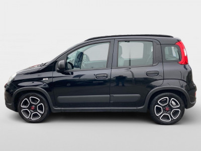 Fiat Panda Gebrauchtwagen Fiat Panda Gebrauchtwagen