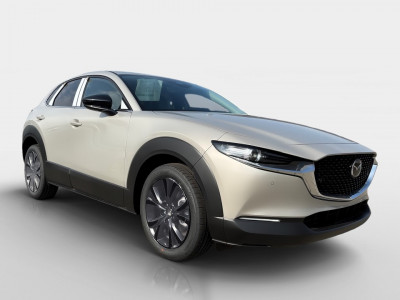 Mazda CX-30 Gebrauchtwagen Mazda CX-30 Gebrauchtwagen