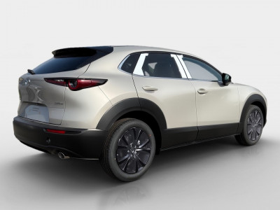 Mazda CX-30 Gebrauchtwagen Mazda CX-30 Gebrauchtwagen