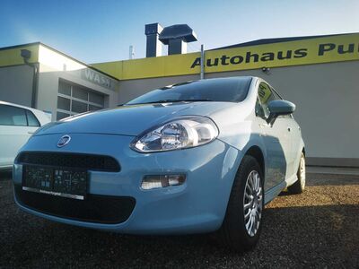 Fiat Punto Gebrauchtwagen