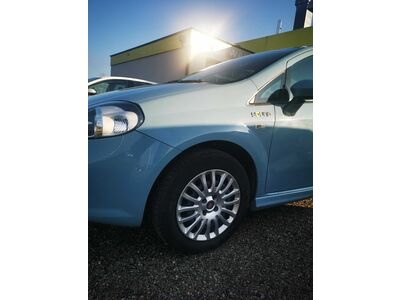 Fiat Punto Gebrauchtwagen