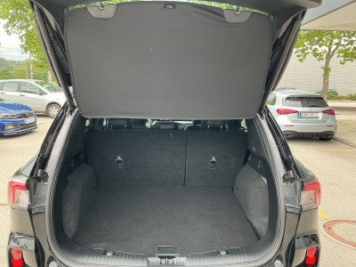 Ford Kuga Gebrauchtwagen Ford Kuga Gebrauchtwagen