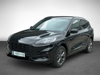 Ford Kuga Gebrauchtwagen Ford Kuga Gebrauchtwagen