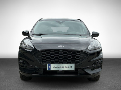 Ford Kuga Gebrauchtwagen Ford Kuga Gebrauchtwagen
