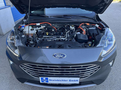 Ford Kuga Gebrauchtwagen