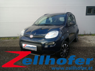 Fiat Panda Gebrauchtwagen