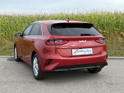 KIA Ceed Neuwagen
