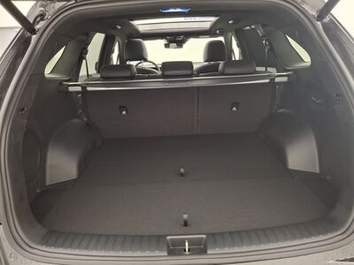 KIA Sorento Vorführwagen