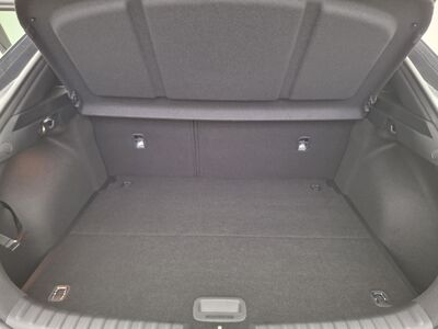 KIA XCeed Neuwagen KIA XCeed Neuwagen