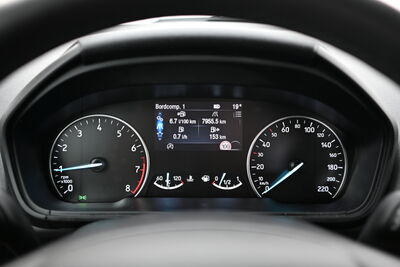 Ford EcoSport Gebrauchtwagen