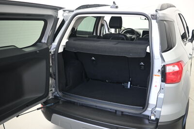 Ford EcoSport Gebrauchtwagen