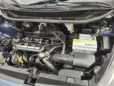 KIA Rio Gebrauchtwagen