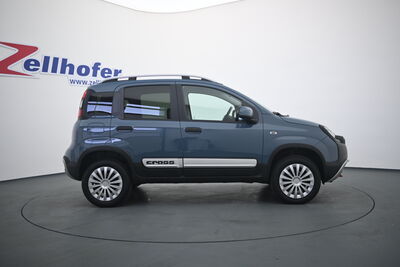 Fiat Panda Gebrauchtwagen