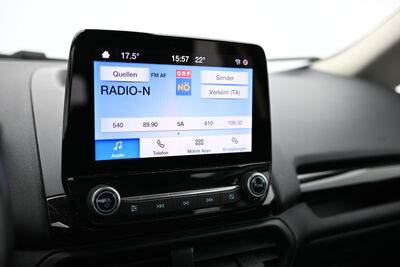 Ford EcoSport Gebrauchtwagen
