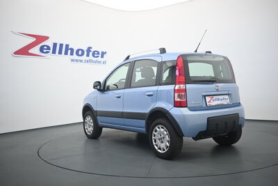 Fiat Panda Gebrauchtwagen Fiat Panda Gebrauchtwagen
